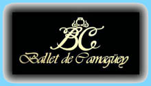 BC (logo)